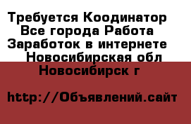 Требуется Коодинатор - Все города Работа » Заработок в интернете   . Новосибирская обл.,Новосибирск г.